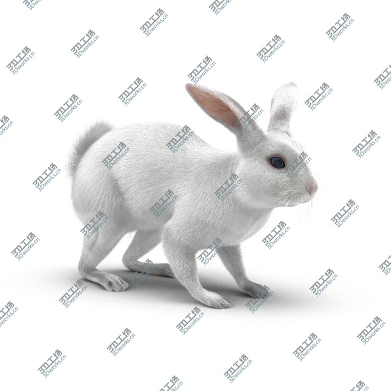 images/goods_img/2021040165/White Rabbit Rigged/3.jpg